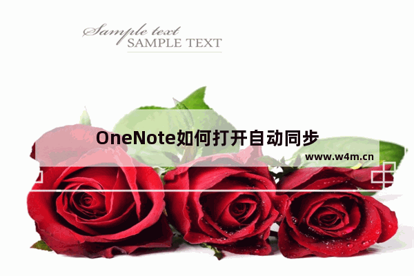 OneNote如何打开自动同步