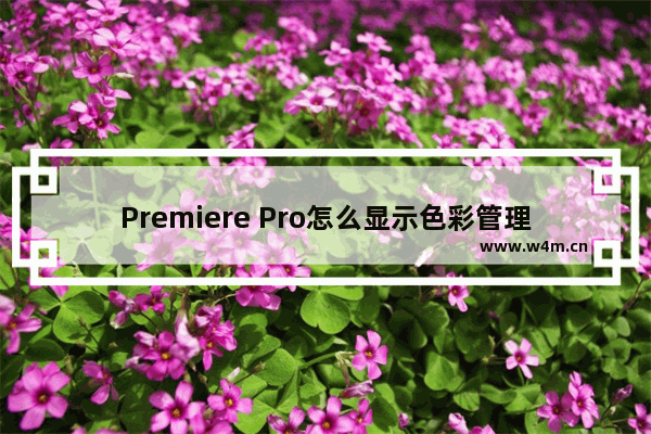 Premiere Pro怎么显示色彩管理