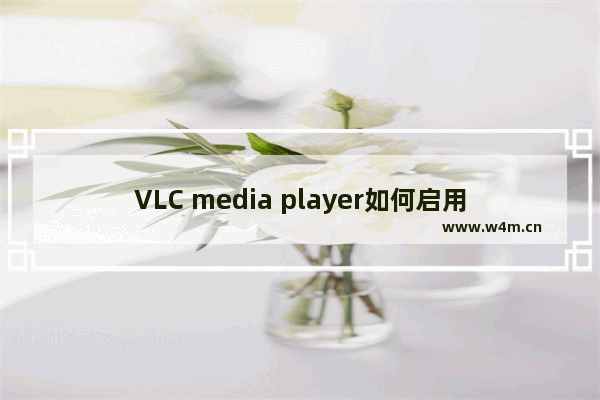 VLC media player如何启用音频串流输出