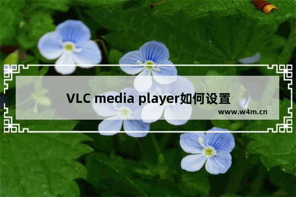 VLC media player如何设置缩放界面至视频大小