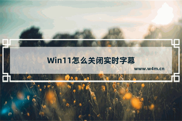 Win11怎么关闭实时字幕