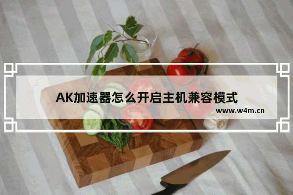 AK加速器怎么开启主机兼容模式