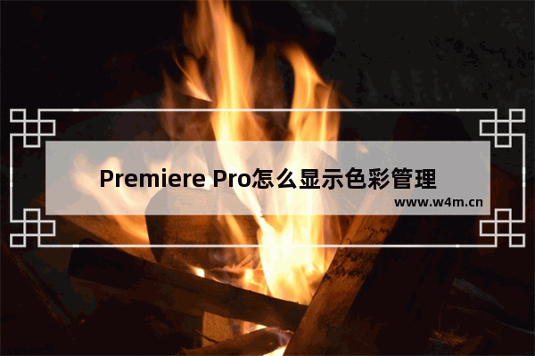 Premiere Pro怎么显示色彩管理