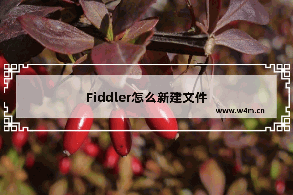 Fiddler怎么新建文件