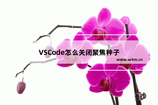 VSCode怎么关闭聚焦种子