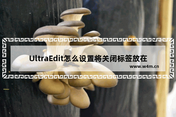 UltraEdit怎么设置将关闭标签放在分隔行