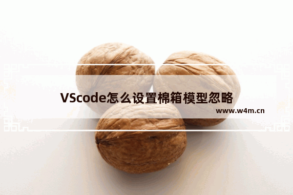 VScode怎么设置棉箱模型忽略