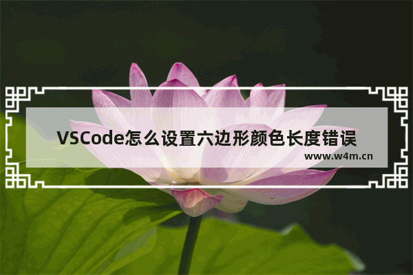 VSCode怎么设置六边形颜色长度错误