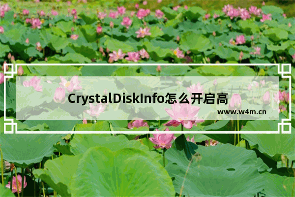 CrystalDiskInfo怎么开启高级硬盘搜索