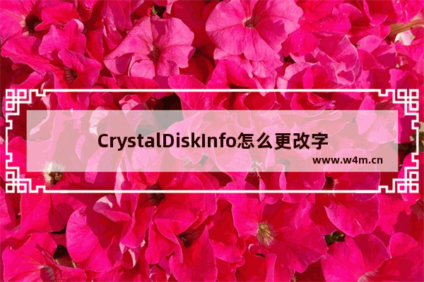 CrystalDiskInfo怎么更改字体显示比例