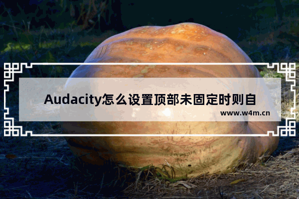 Audacity怎么设置顶部未固定时则自动滚动