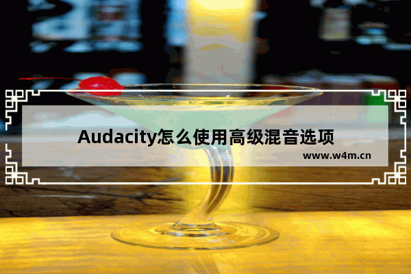 Audacity怎么使用高级混音选项