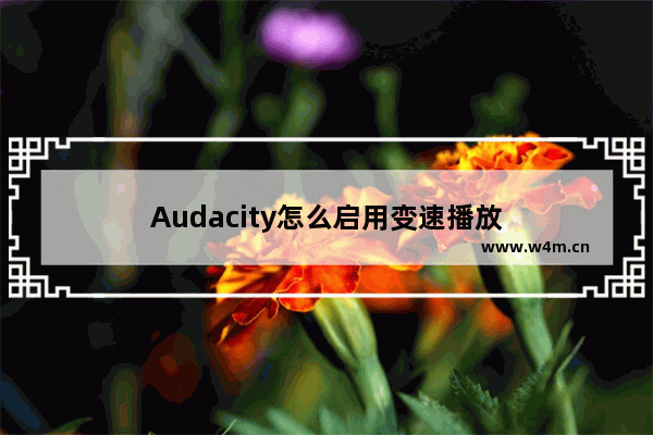 Audacity怎么启用变速播放