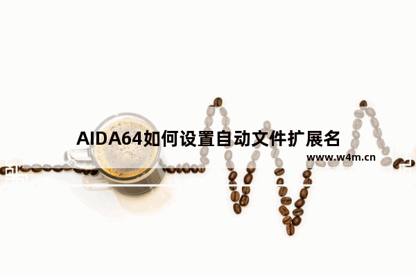 AIDA64如何设置自动文件扩展名