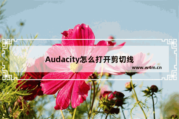 Audacity怎么打开剪切线