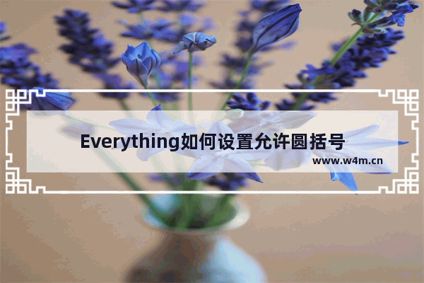 Everything如何设置允许圆括号