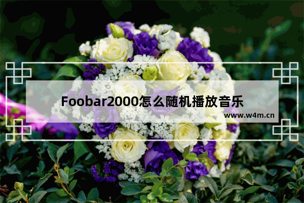 Foobar2000怎么随机播放音乐