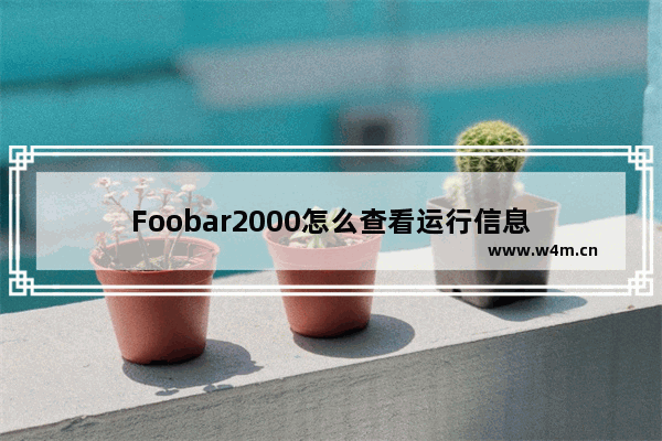 Foobar2000怎么查看运行信息