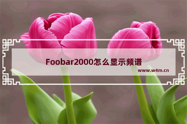 Foobar2000怎么显示频谱