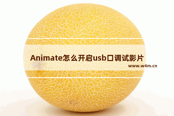 Animate怎么开启usb口调试影片