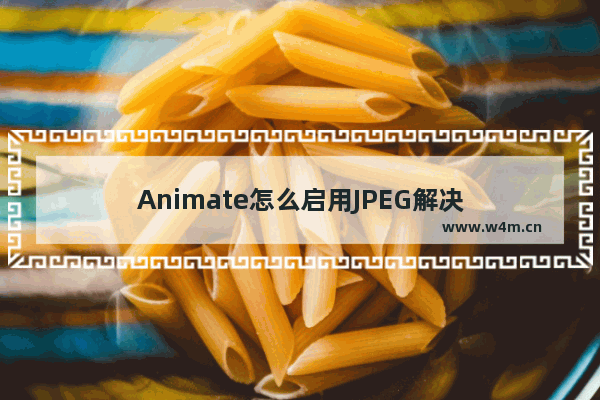 Animate怎么启用JPEG解决