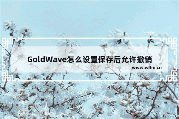 GoldWave怎么设置保存后允许撤销