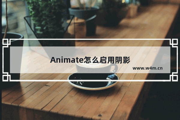 Animate怎么启用阴影