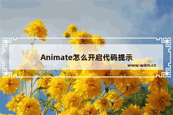 Animate怎么开启代码提示