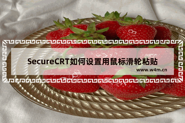 SecureCRT如何设置用鼠标滑轮粘贴