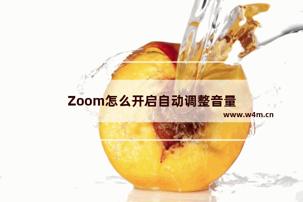 Zoom怎么开启自动调整音量