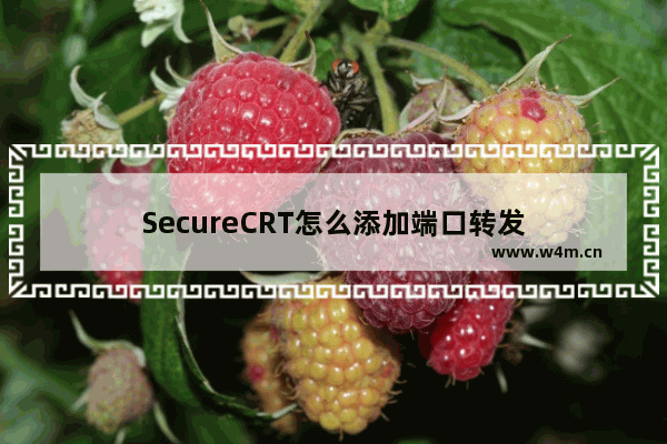 SecureCRT怎么添加端口转发