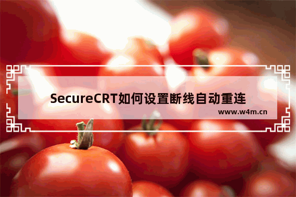 SecureCRT如何设置断线自动重连