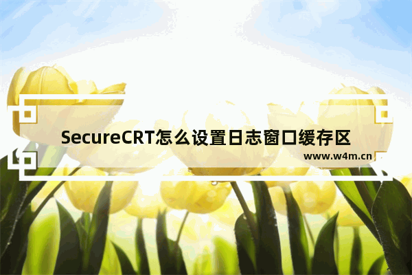 SecureCRT怎么设置日志窗口缓存区大小