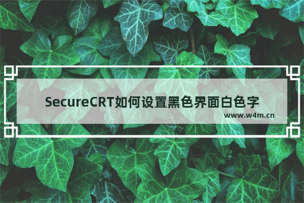 SecureCRT如何设置黑色界面白色字体