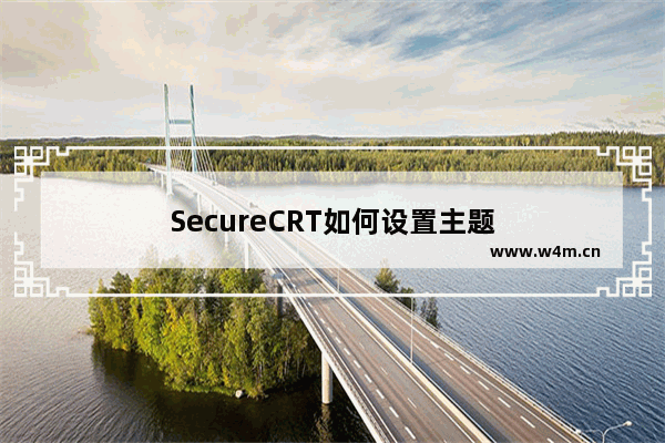 SecureCRT如何设置主题