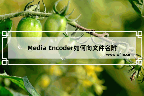 Media Encoder如何向文件名附加预设名称