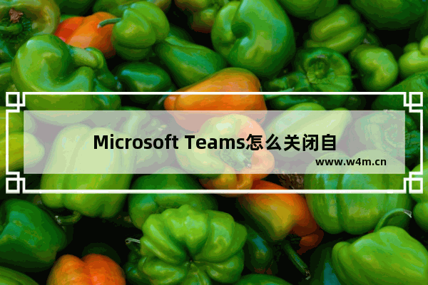 Microsoft Teams怎么关闭自动启动