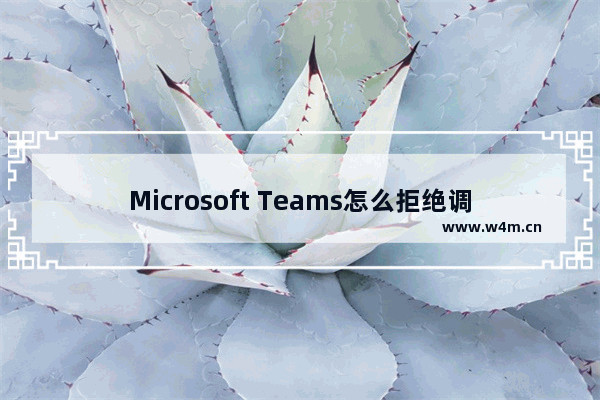 Microsoft Teams怎么拒绝调查