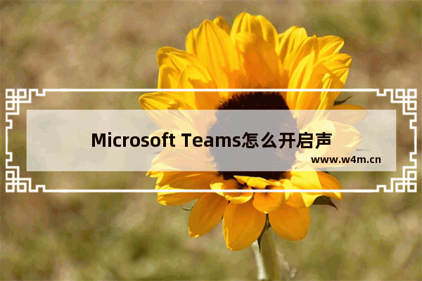 Microsoft Teams怎么开启声音通知