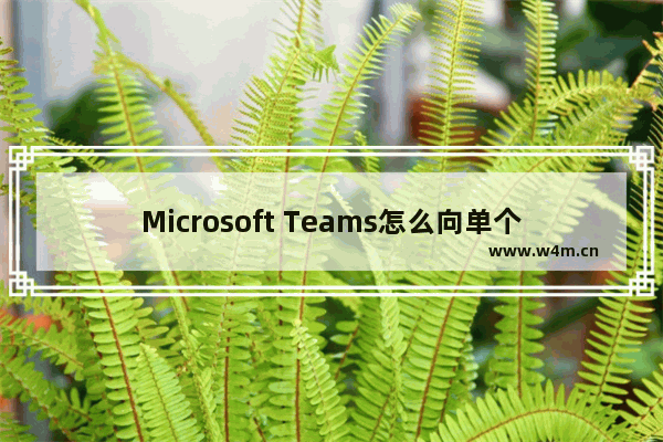 Microsoft Teams怎么向单个用户分配策略