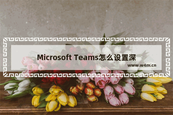 Microsoft Teams怎么设置深色主题