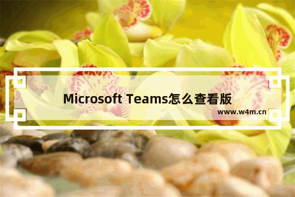 Microsoft Teams怎么查看版本号