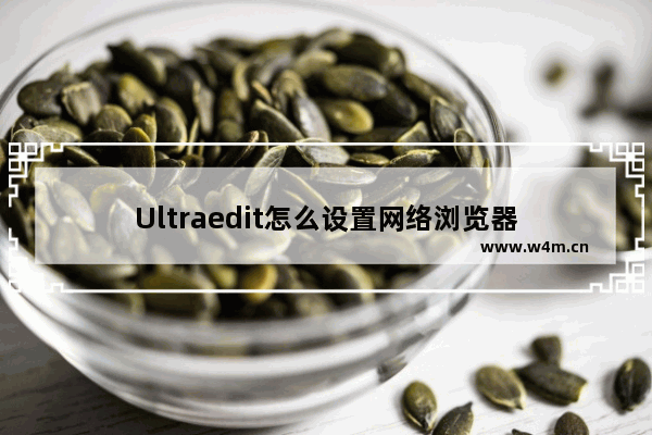 Ultraedit怎么设置网络浏览器