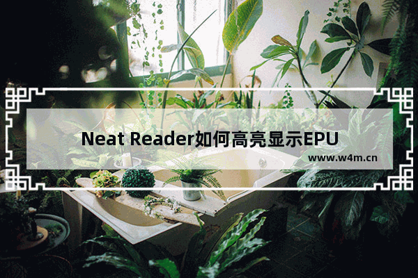 Neat Reader如何高亮显示EPUB文本内容