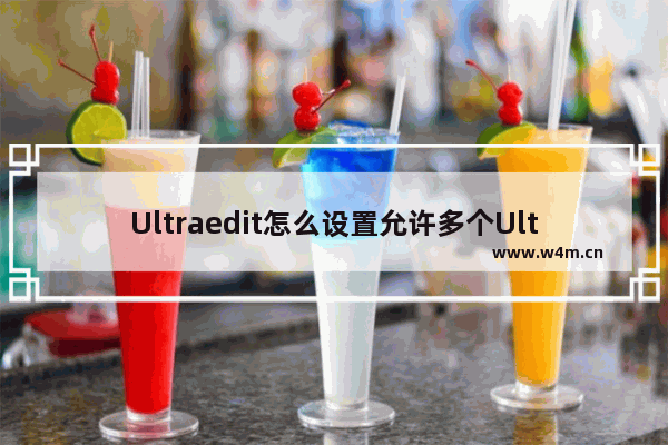 Ultraedit怎么设置允许多个Ultraedit