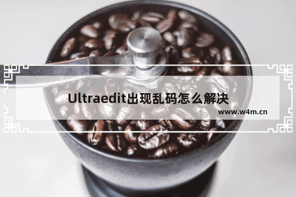 Ultraedit出现乱码怎么解决