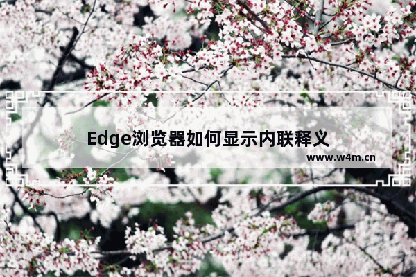 Edge浏览器如何显示内联释义