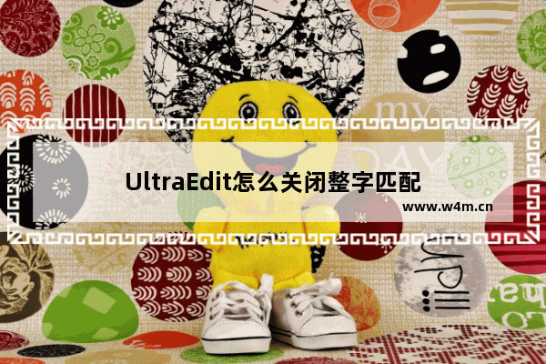 UltraEdit怎么关闭整字匹配