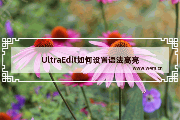 UltraEdit如何设置语法高亮