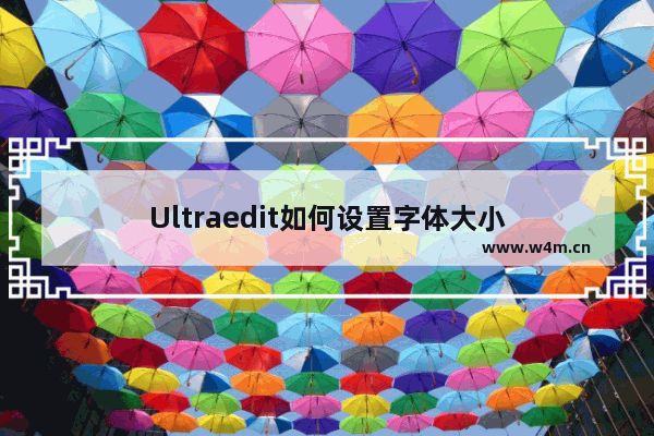 Ultraedit如何设置字体大小